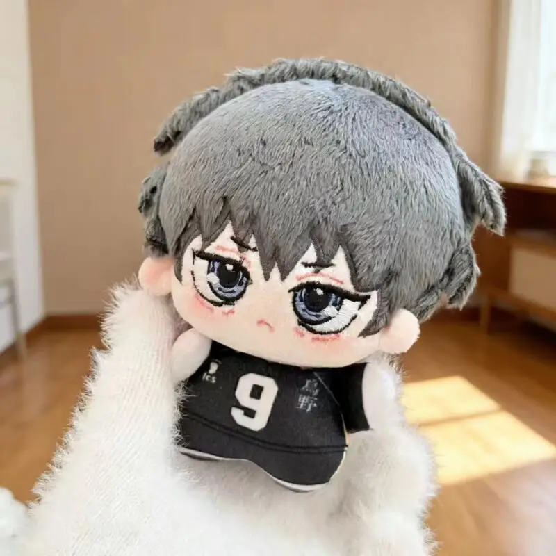 Cartoon Anime Haikyuu Shoyo Hi - огляд і ціна Supply Event